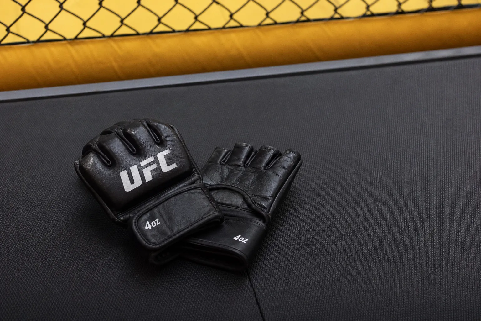 UFC Weight Classes in Order: Which Divisions Are Worth Watching?