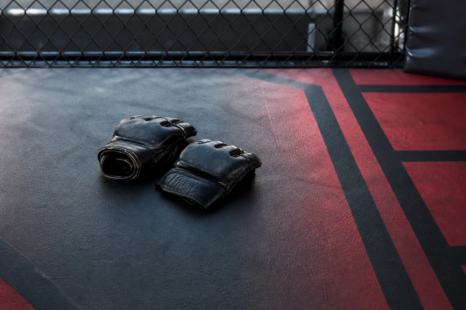 Women UFC weight classes: our data-driven division review